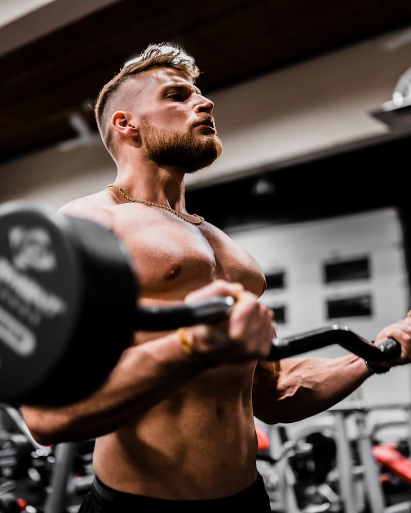 Musculation