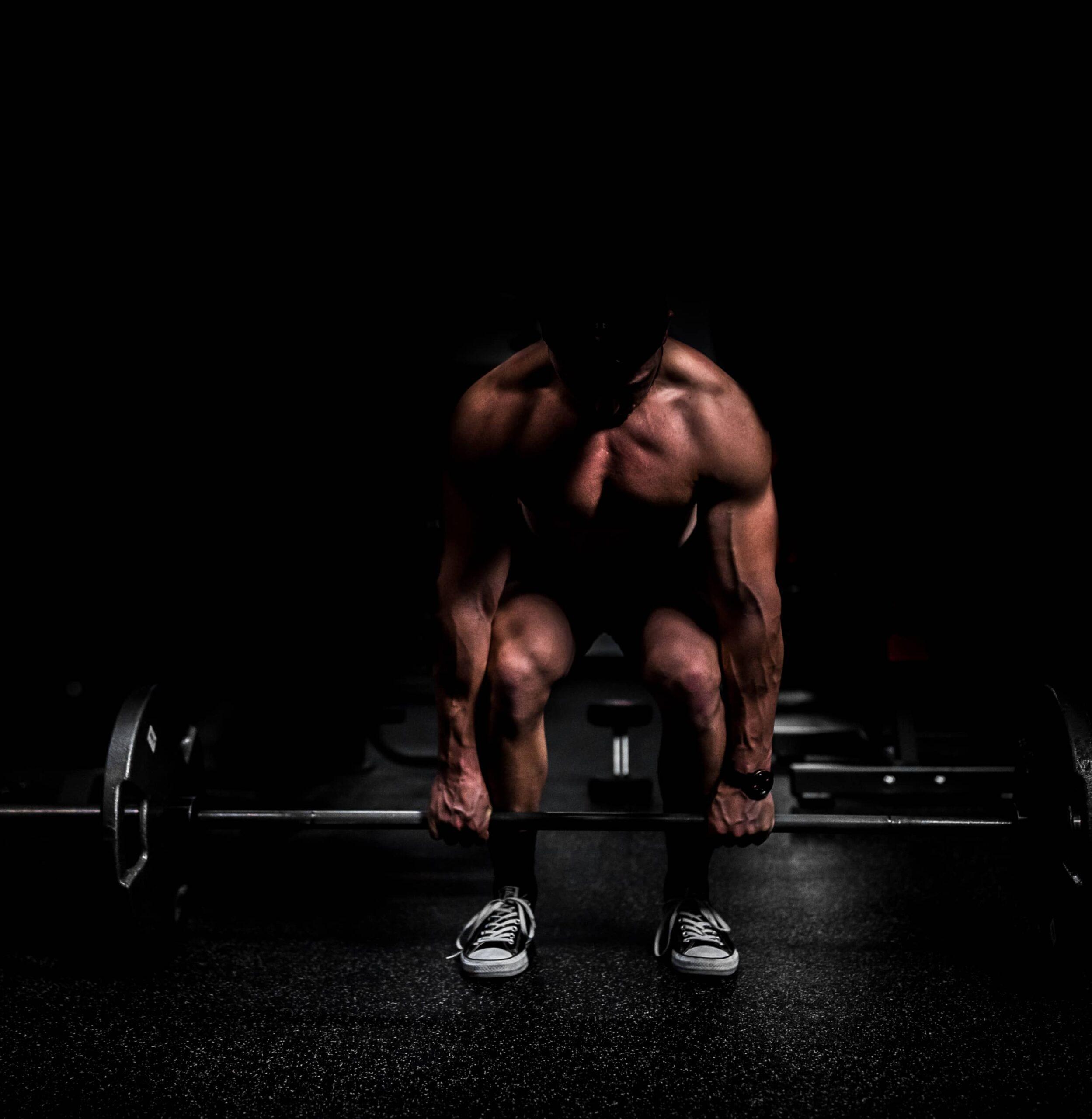 Quick Body fitness training